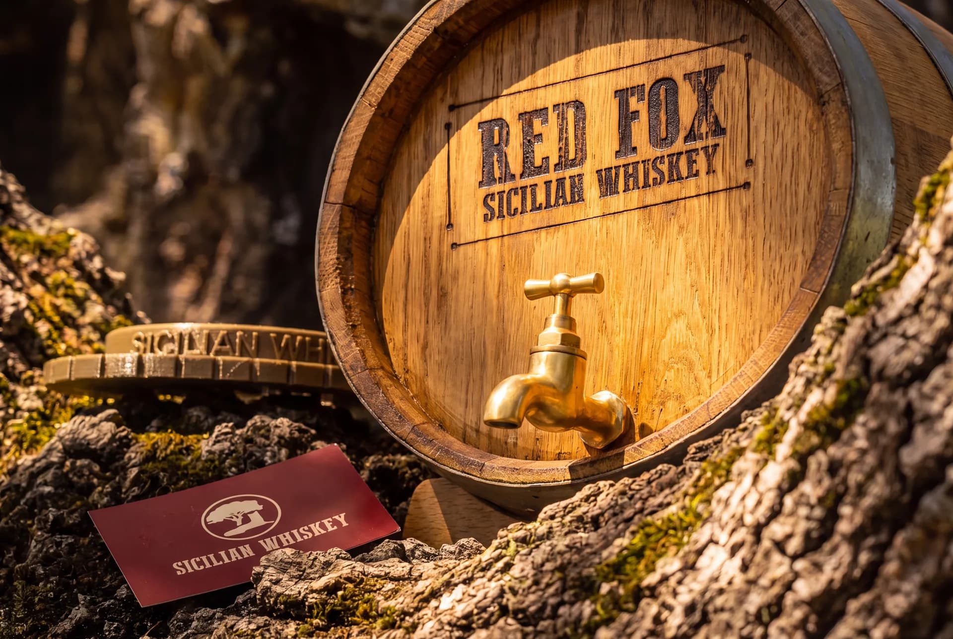 Botte Red Fox nel paesaggio del Bosco Trek con cena